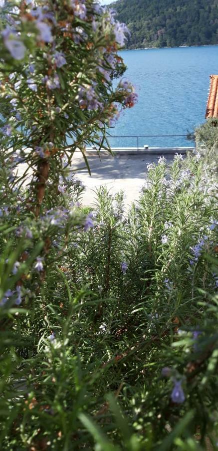 Apartments Sponga Polače Εξωτερικό φωτογραφία